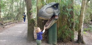 Wellington country park dinosaurs