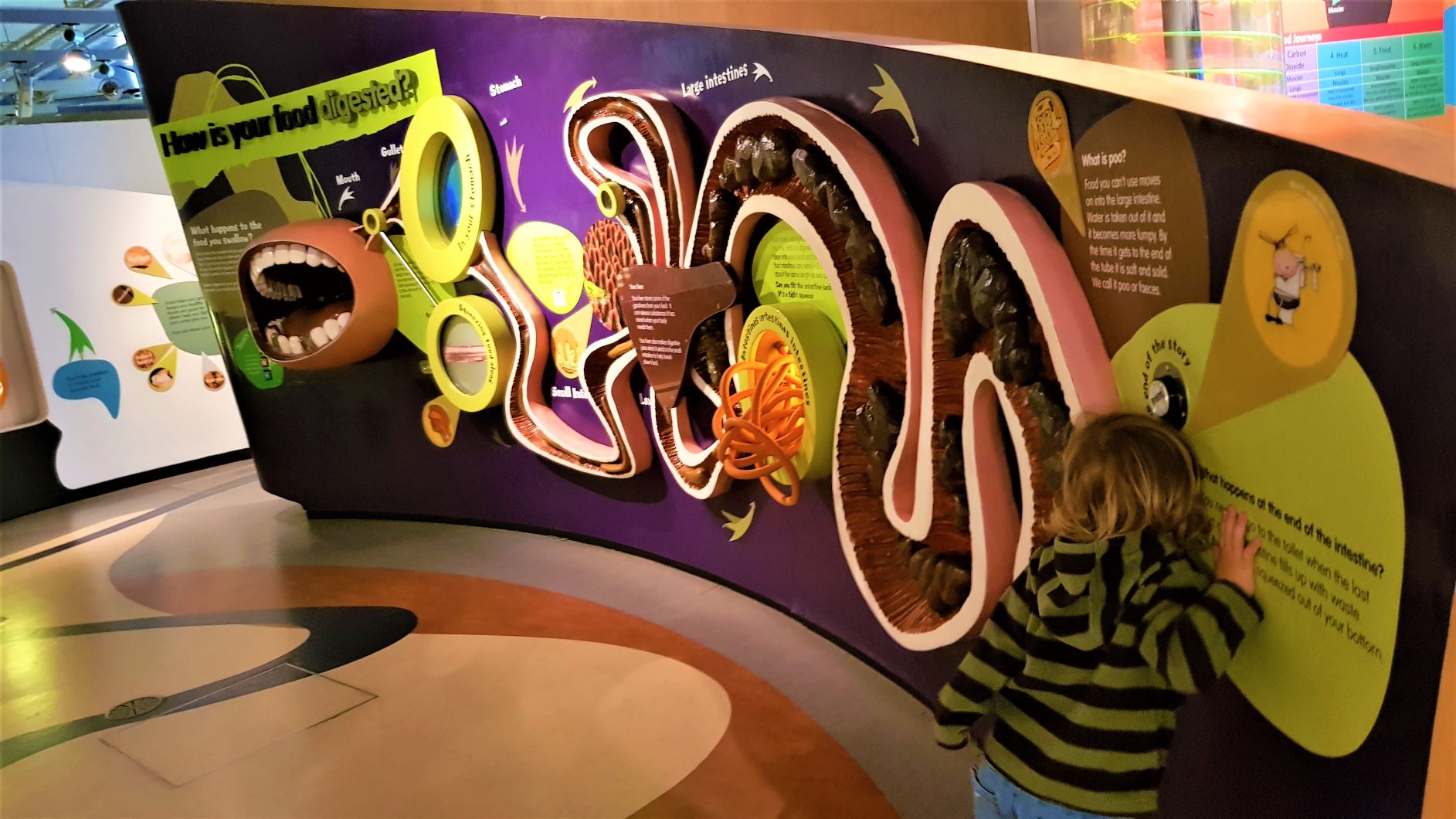 Thinktank Birmingham Science Museum - The Family Ticket