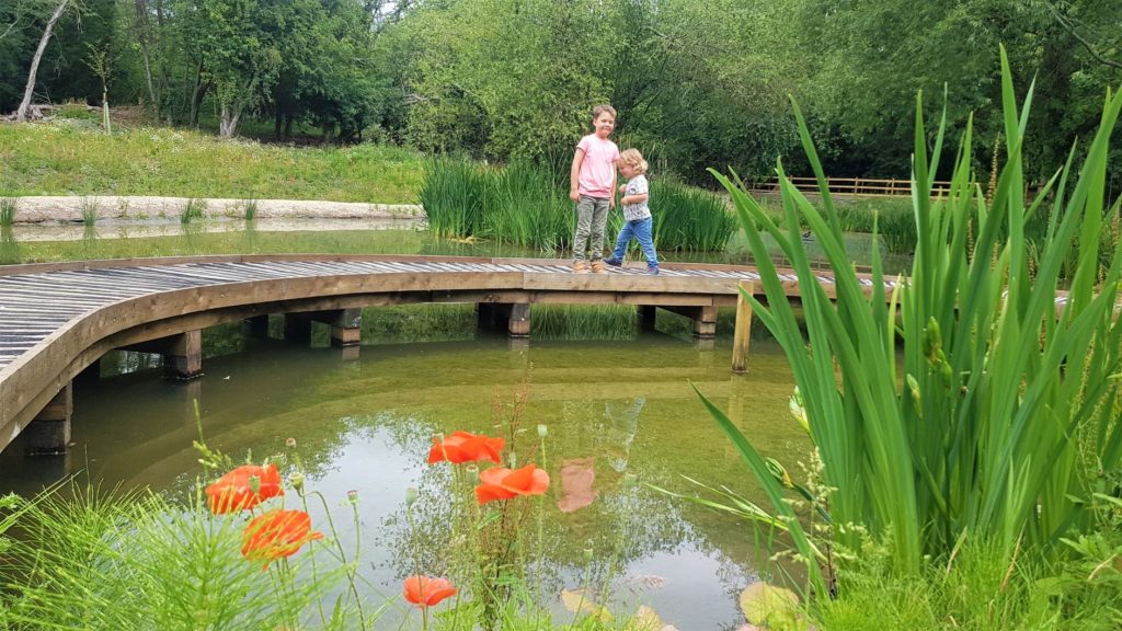 Pond Dipping Science Oxford 