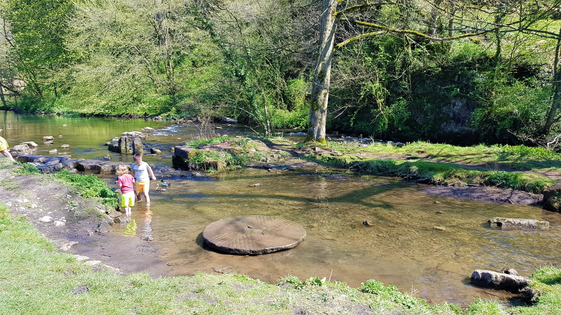 Dovedale | Stepping stones, Caves and Fossils - The Family Ticket