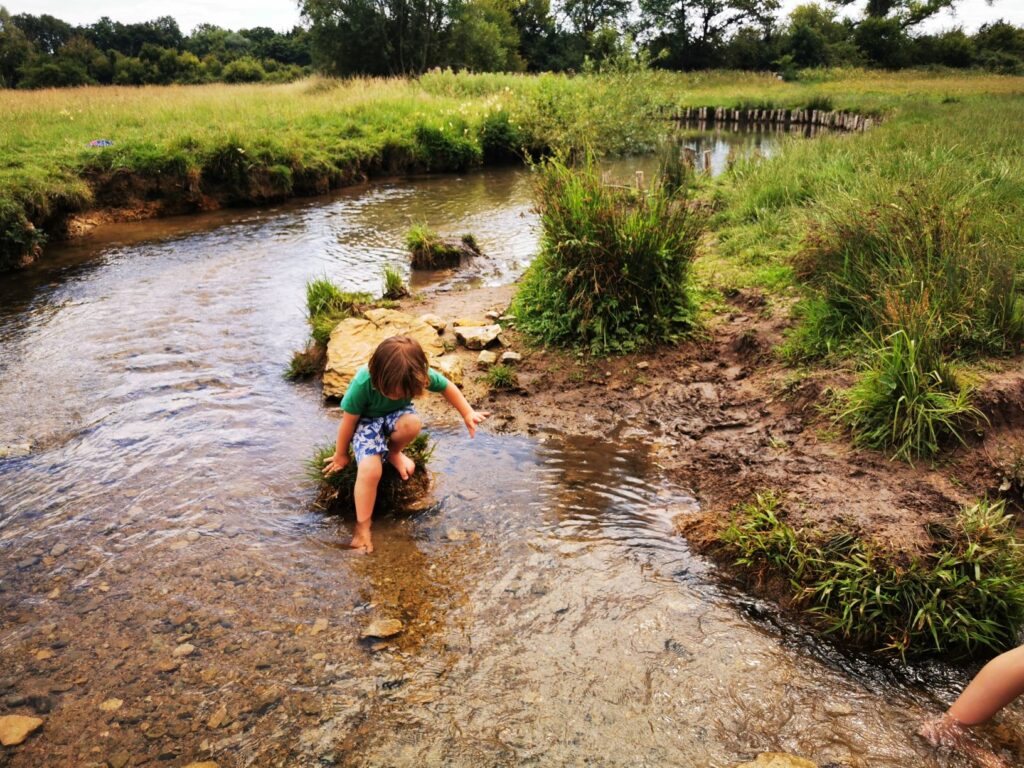 Greystones Farm Nature Reserve - The Family Ticket