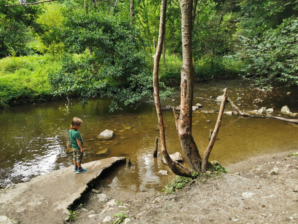 Loggerheads Country Park - The Family Ticket