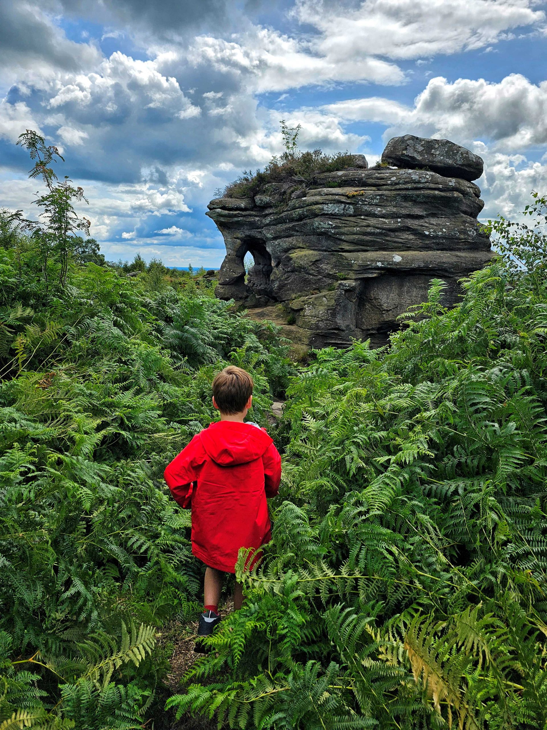 Brimham Rocks The Family Ticket